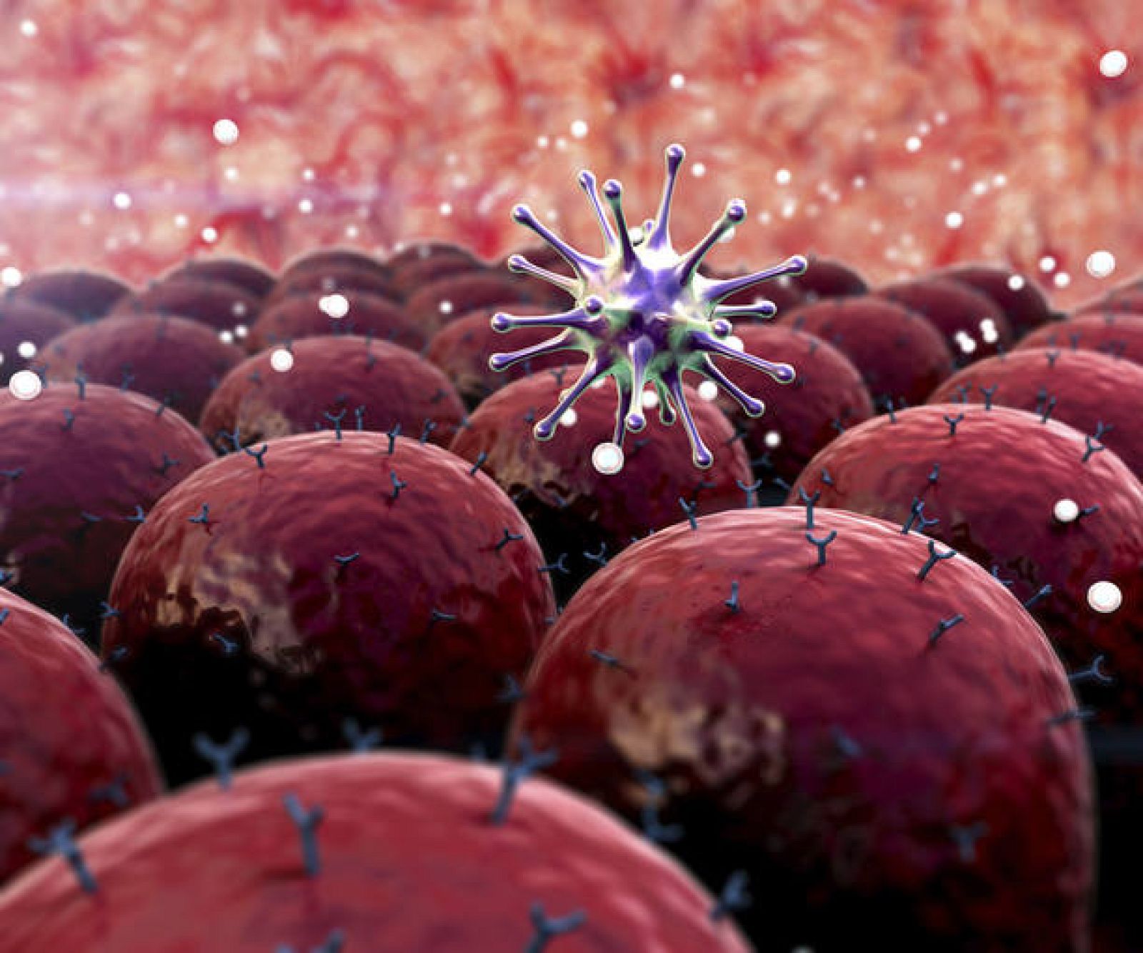  Recreación de un virus sobre unas células.