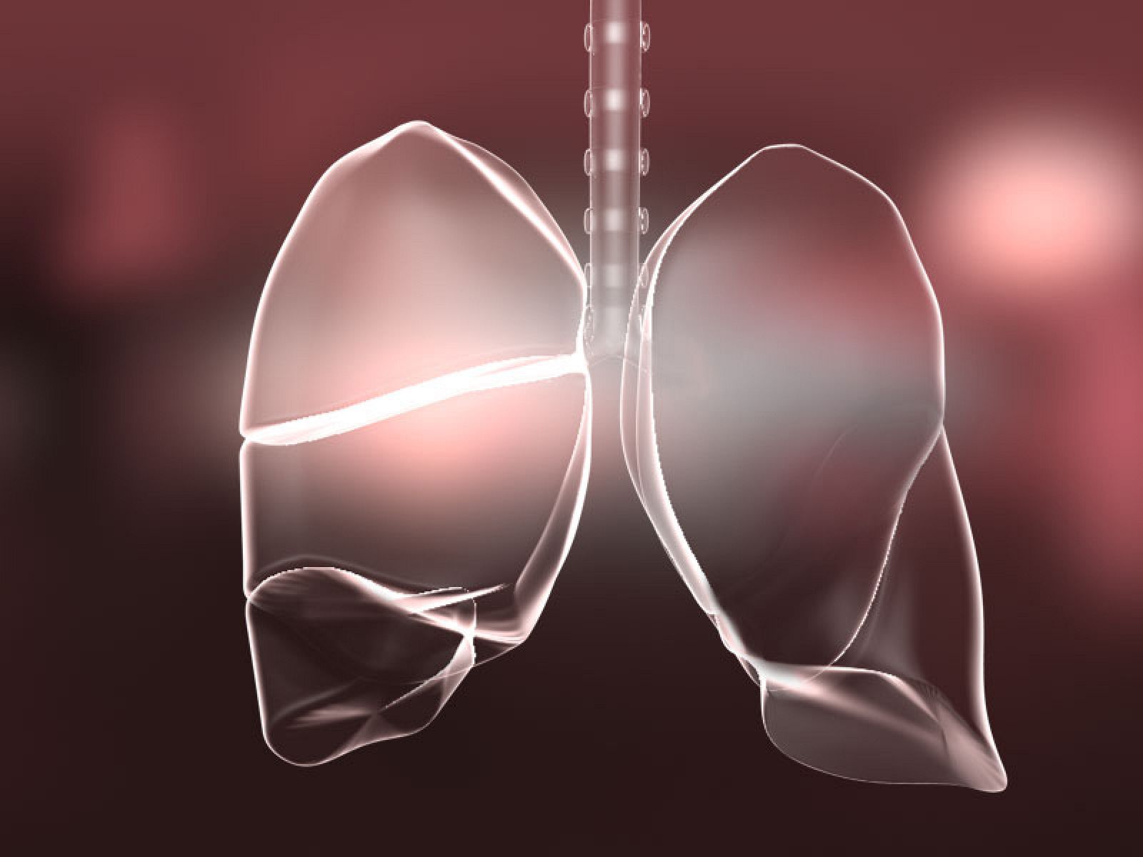 Ilustración de los pulmones.