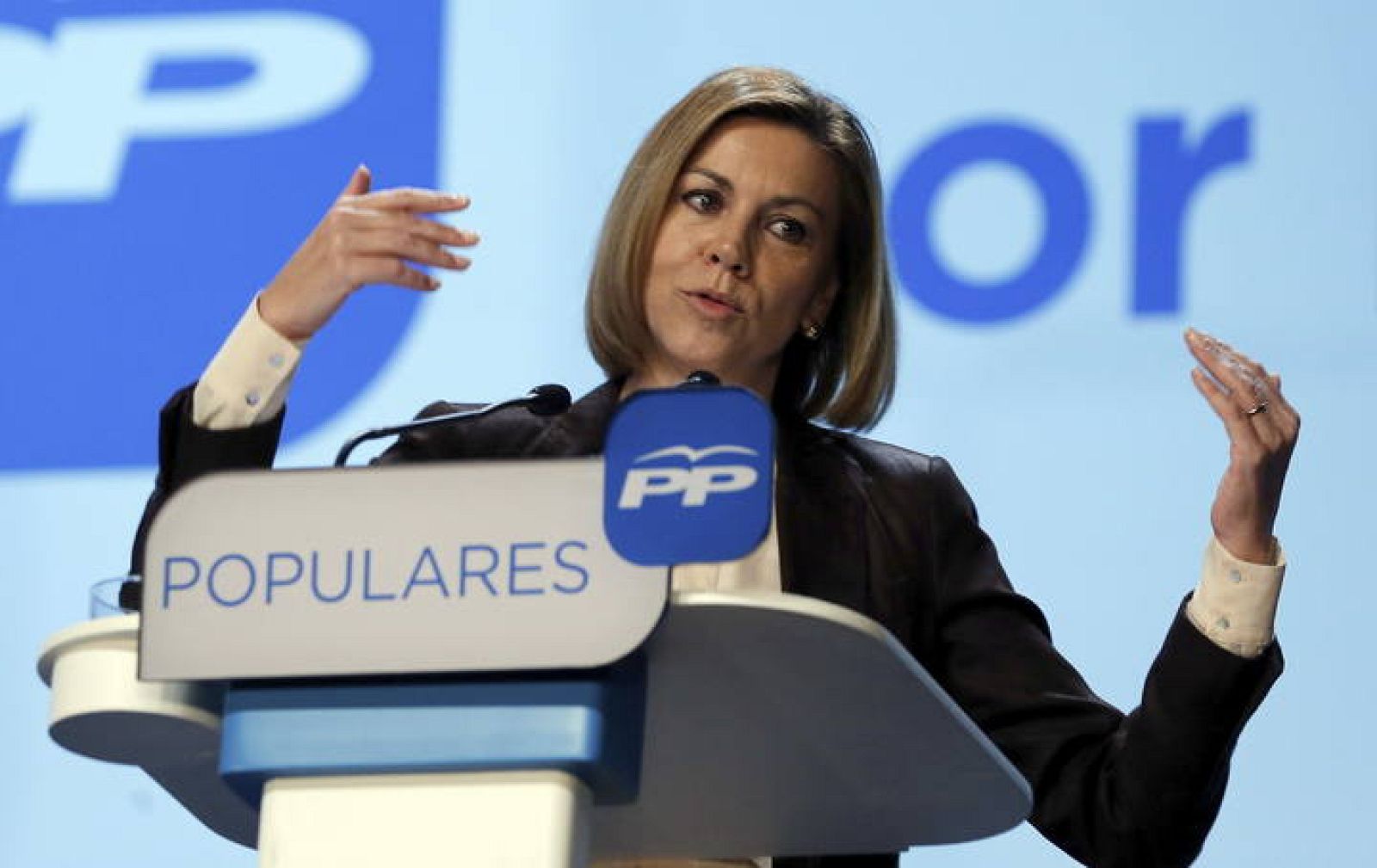 PROGRAMA MARCO LOCAL DEL PP