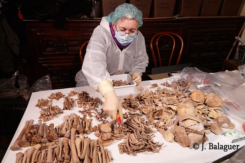 "No existe ninguna certeza para identificar ningún resto concreto", dice el comisario de la muestra, Francisco José Marín Perellón.