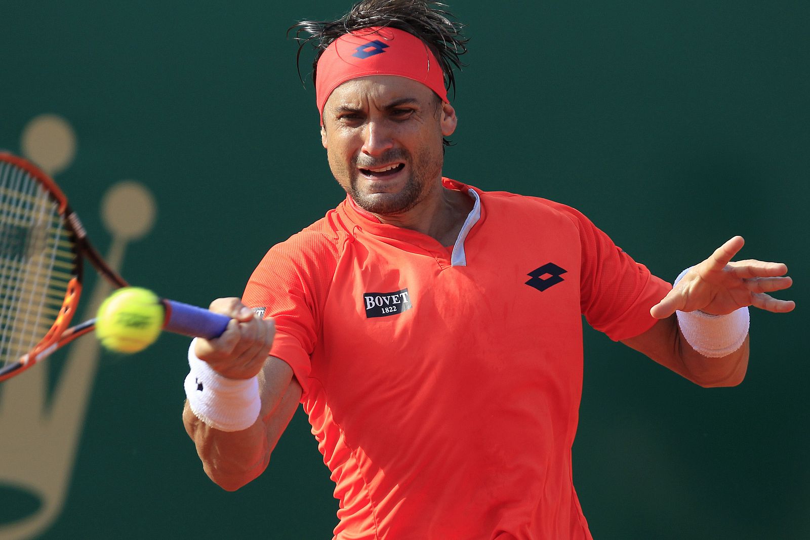 El tenista español David Ferrer