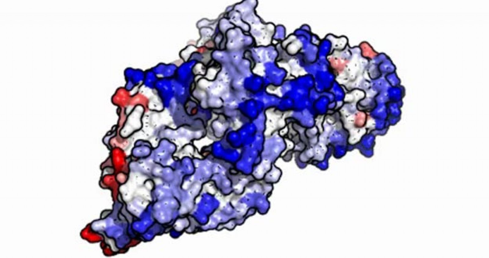 Estructura de una proteína en 3D.