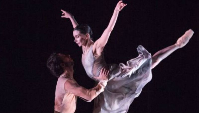 asset-3145462tamara-rojo