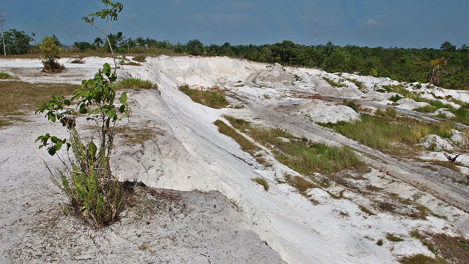 Una vista de una áreas deforestadas e irrecuperables en la amazonia peruana.