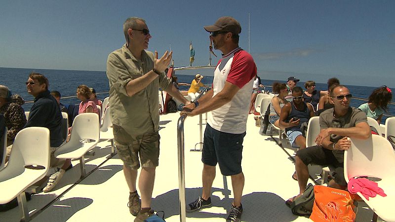 Las empresas de avistamiento de cetáceos y fauna marina se plantean como una alternativa a los acuarios y delfinarios.