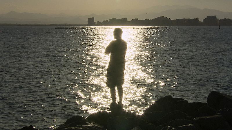 Algunos ex entrenadores de orcas y delfines son hoy muy críticos con dicha actividad