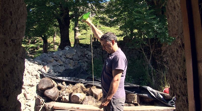 Asiegu: la ruta del queso de Cabrales