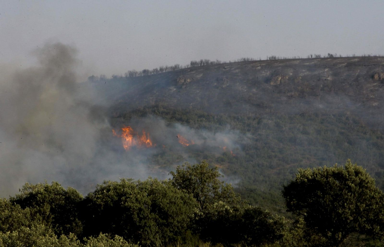 Vistas de las llamas del incendio forestal declarado este martes en Humanes (Guadalajara)