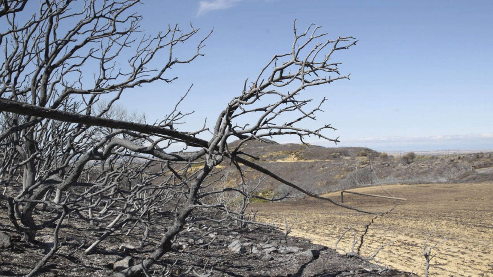 Vista de las zonas afectadas por el incendio declarado en la comarca de las Cinco Villas, en el término de Luna (Zaragoza).