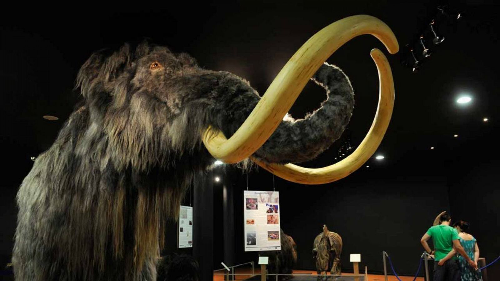 El mamut fue el gran mamífero más extendido en la Edad de hielo