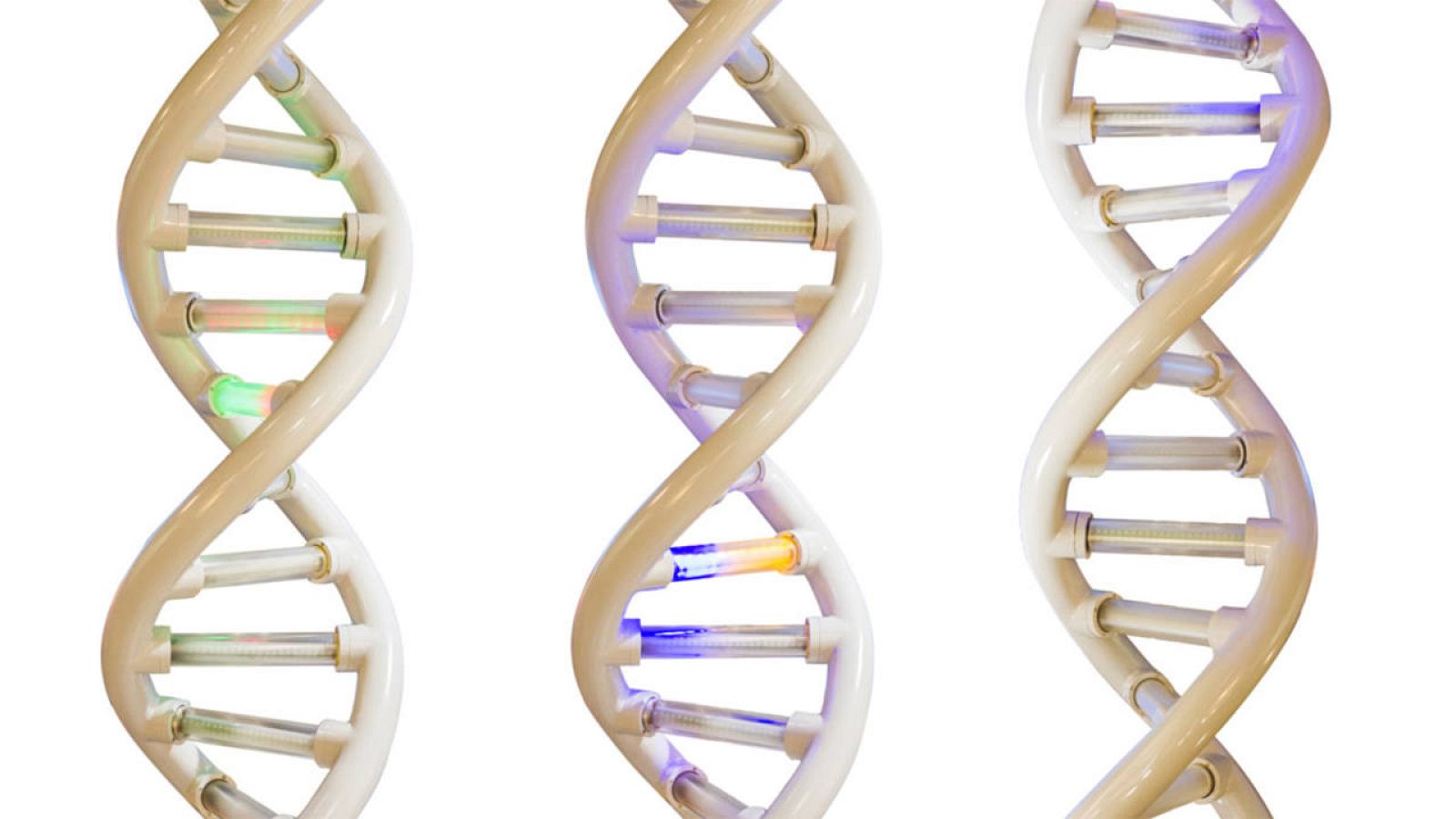 Recreación del ADN celular.