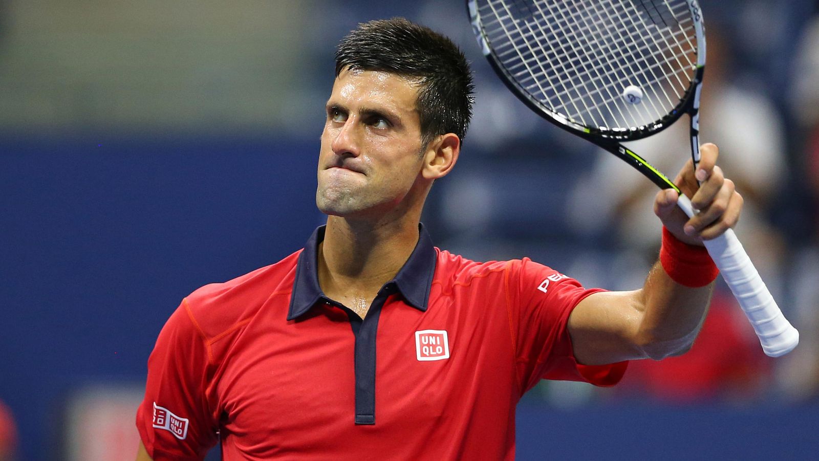 El serbio Djokovic celebra su victoria frente al austriaco Haider-Maurer