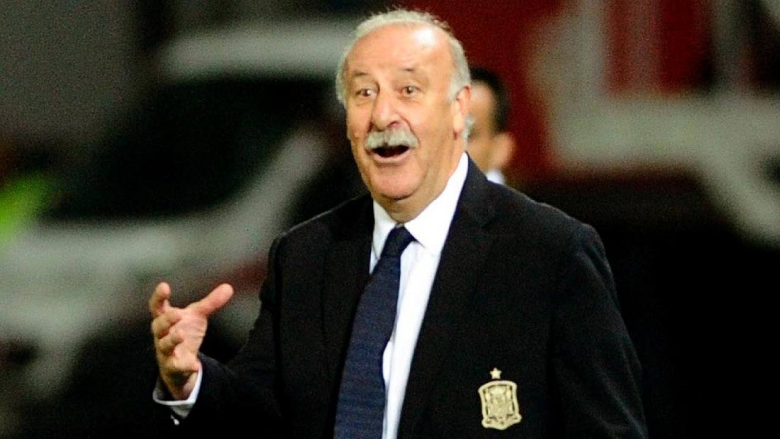 Del Bosque apoya a Piqué