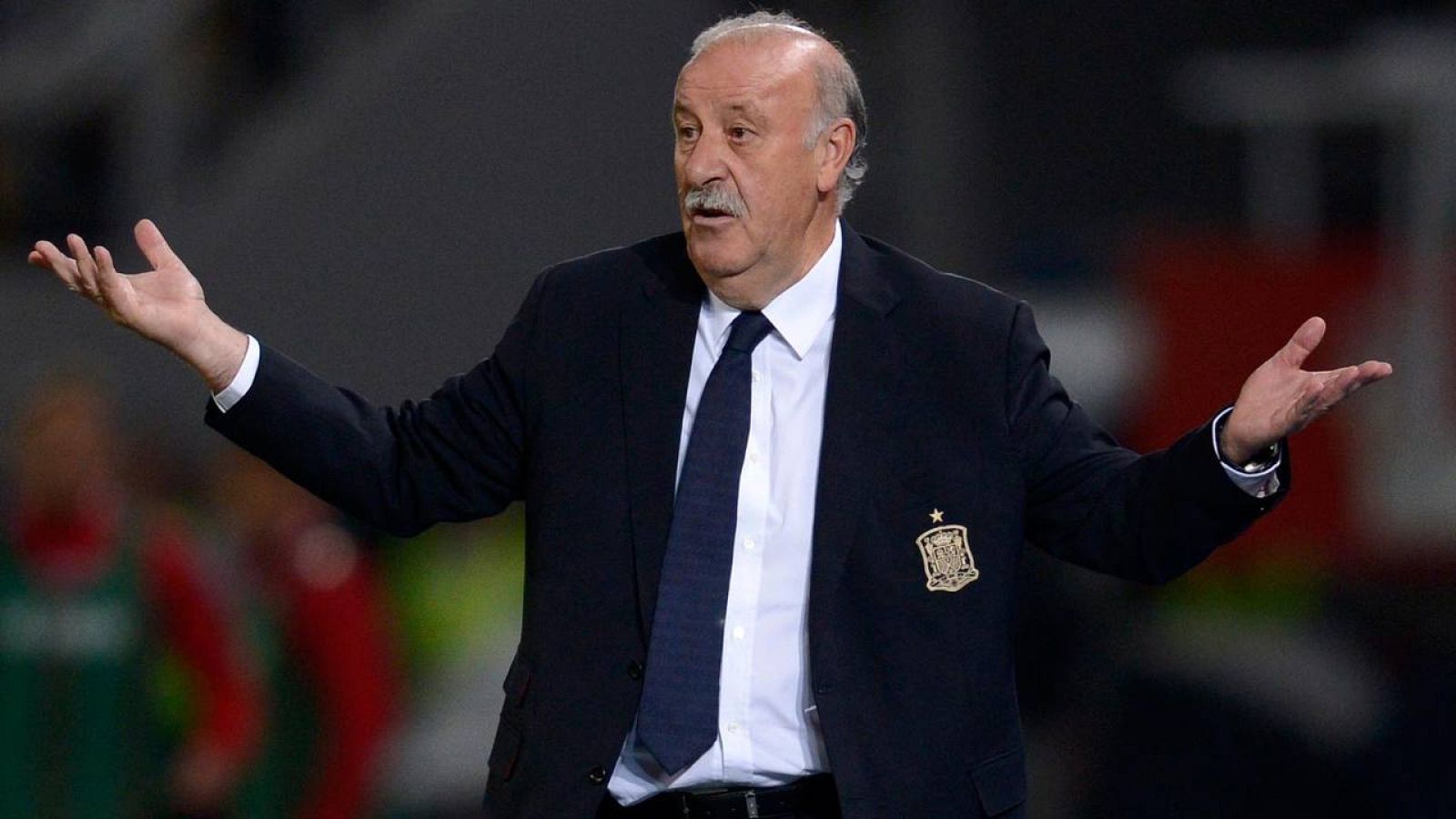 El seleccionador de España, Vicente del Bosque