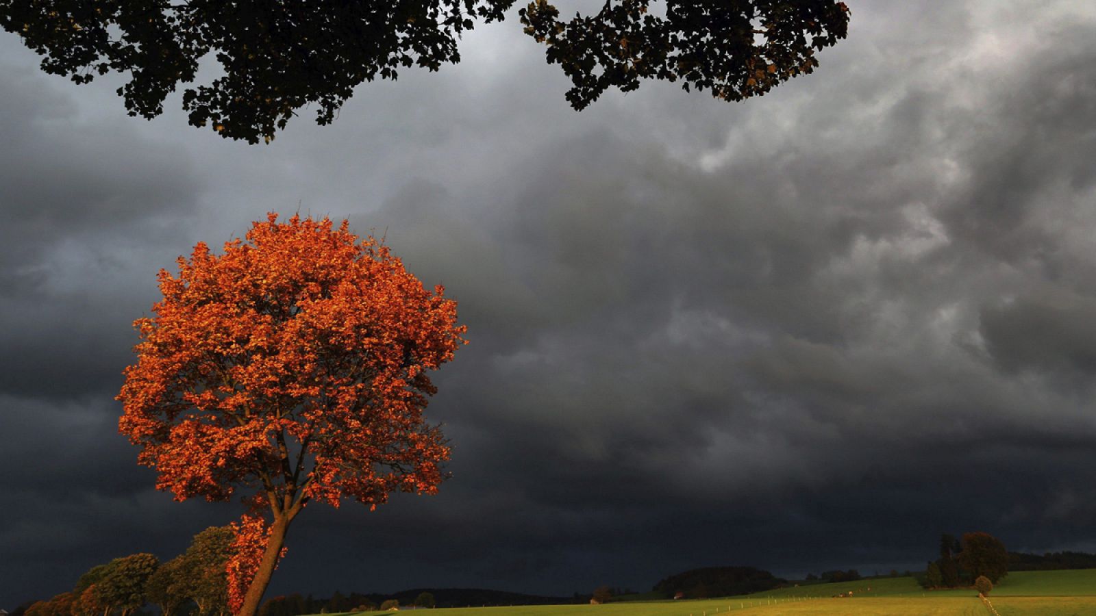 Nubes de tormenta se ciernen sobre un árbol cerca de Genachhausen