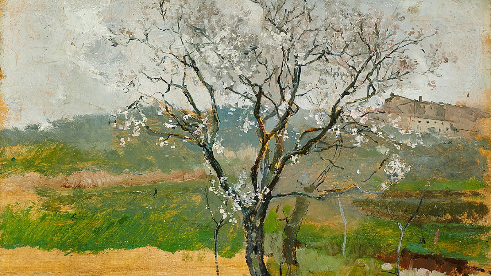 Almendro en flor, de Joaquín Sorolla.