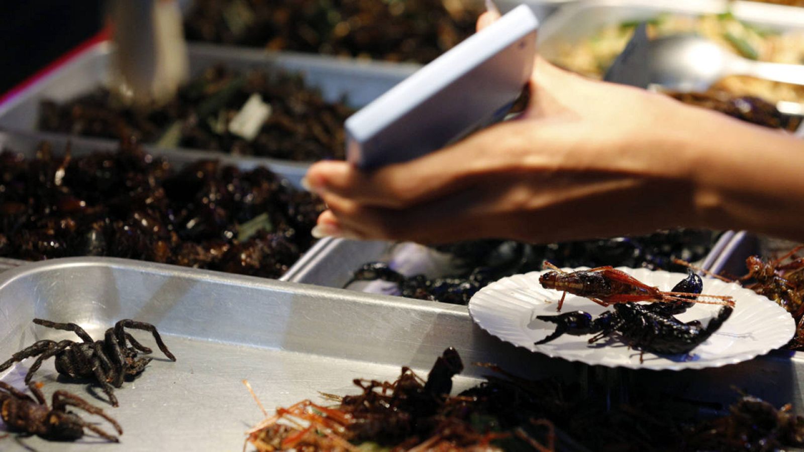 Puesto de insectos fritos en la calle Khao San en Bangkok (Tailandia).