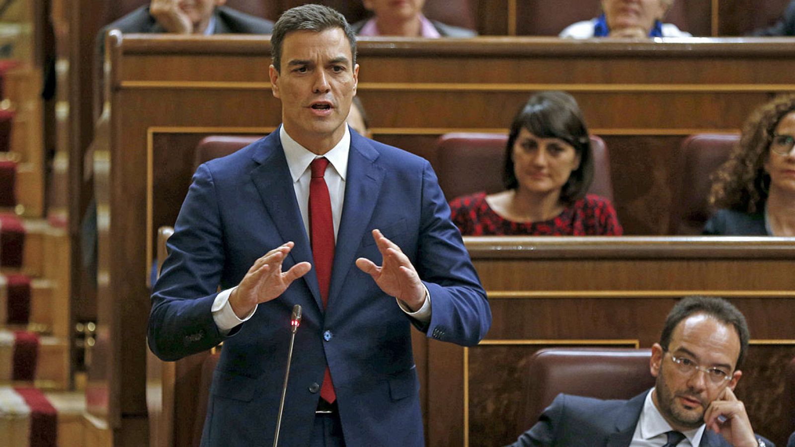El líder del PSOE, Pedro Sánchez, en el Congreso de los Diputados