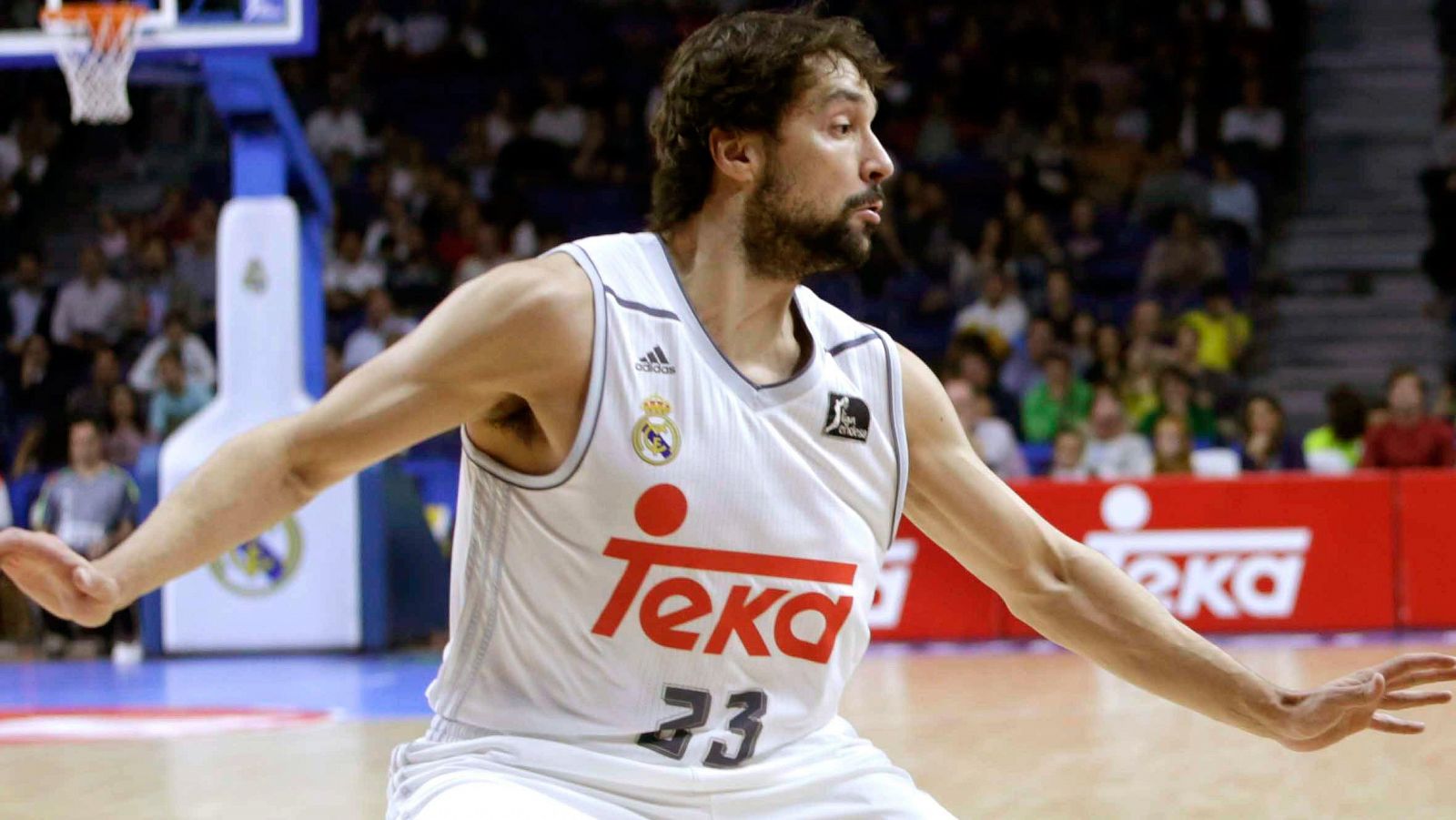 El jugador del Real Madrid de baloncesto Sergio Llull