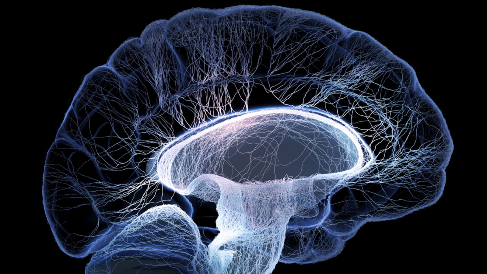 El cerebro olvida de manera intencionada, aunque sea temporalmente, para ahorrar energía.