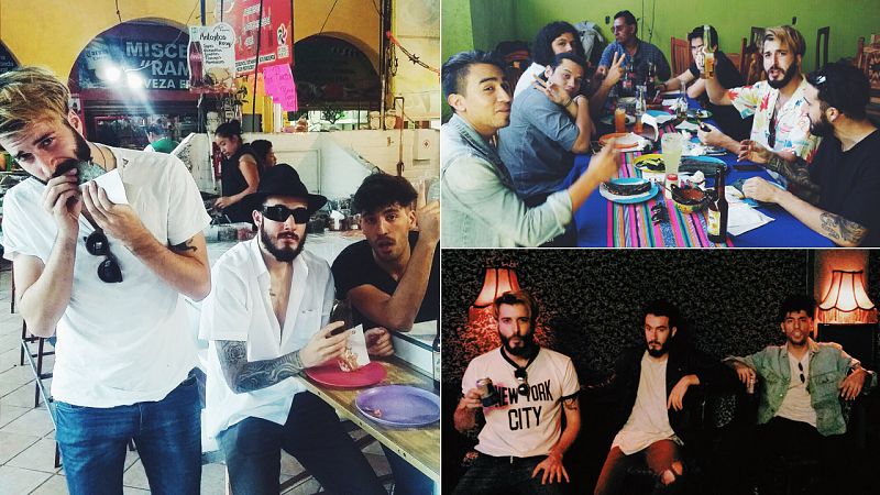 Sexy Zebras comiendo y bebiendo mal en México