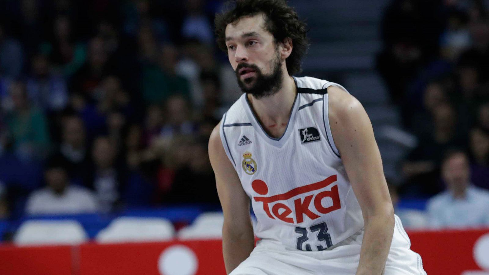 Sergio Llull, jugador del Real Madrid.