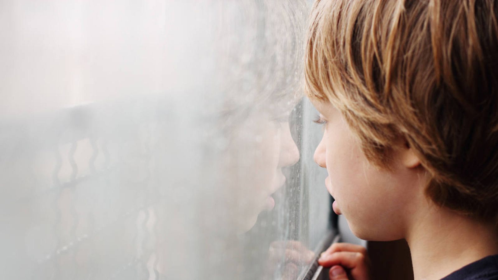 Los trastornos del intelecto, la conducta y la función motora afectan al cerebro infantil de forma global.