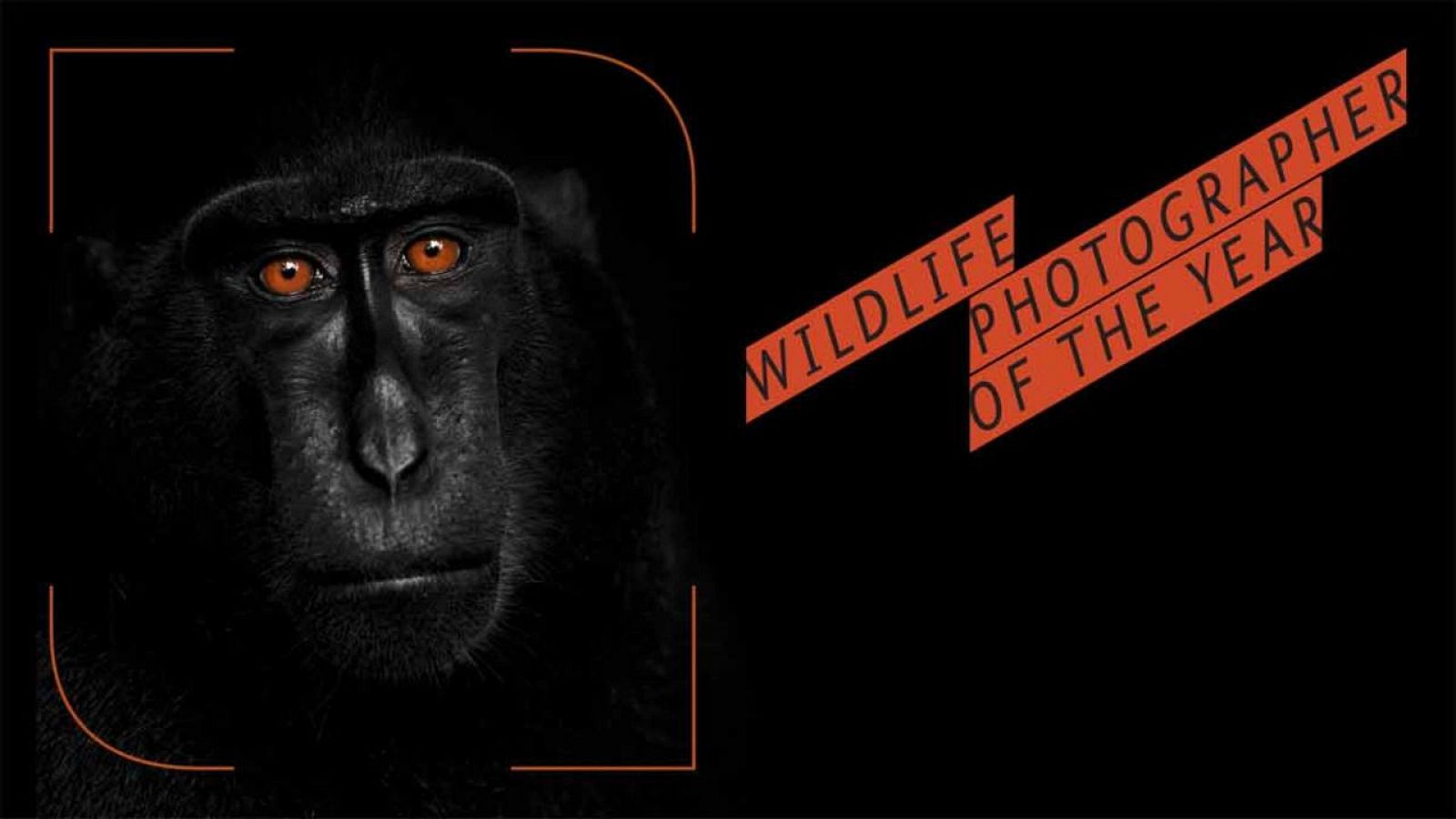 La exposición fotográfica está organizada por el Museo de Historia Natural de Londres y la BBC.