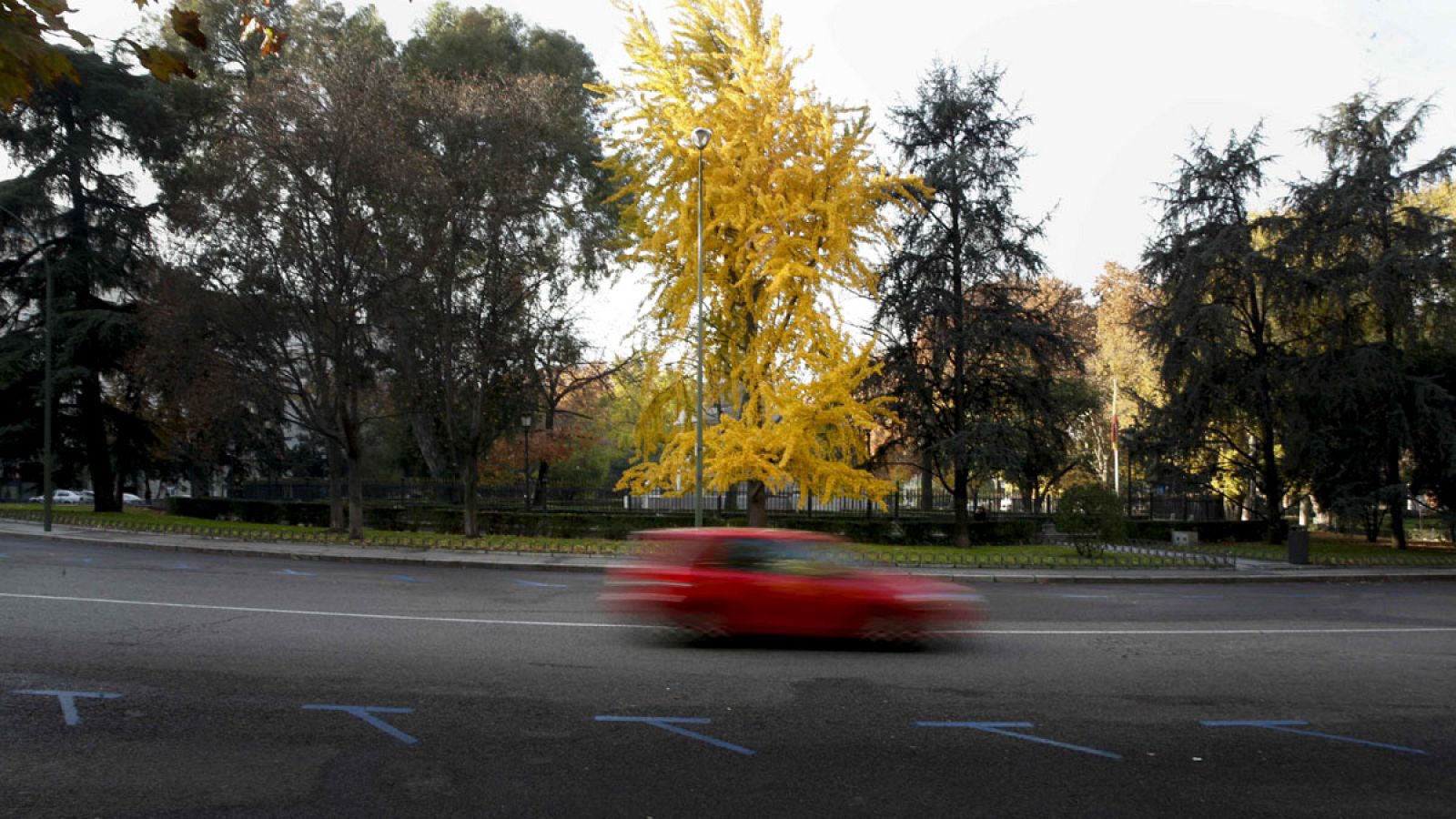 Una céntrica calle de Madrid con la zona azul del estacionamiento regulado sin vehículos.