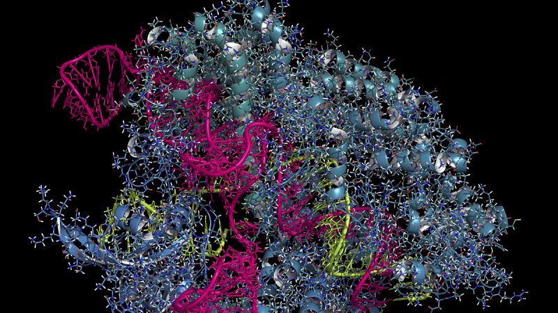 El método de edición genómica CRISPR tiene un bajo costo y es fácil de usar.