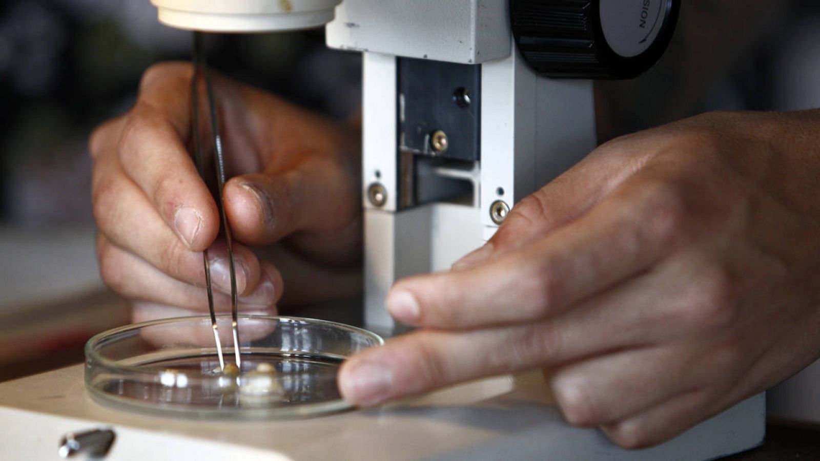 El paquete de ayudas está dedicado a proyectos de investigación, equipamientos científicos, etc.