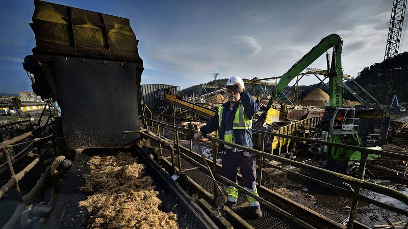 Un trabajador en una planta de biomasa