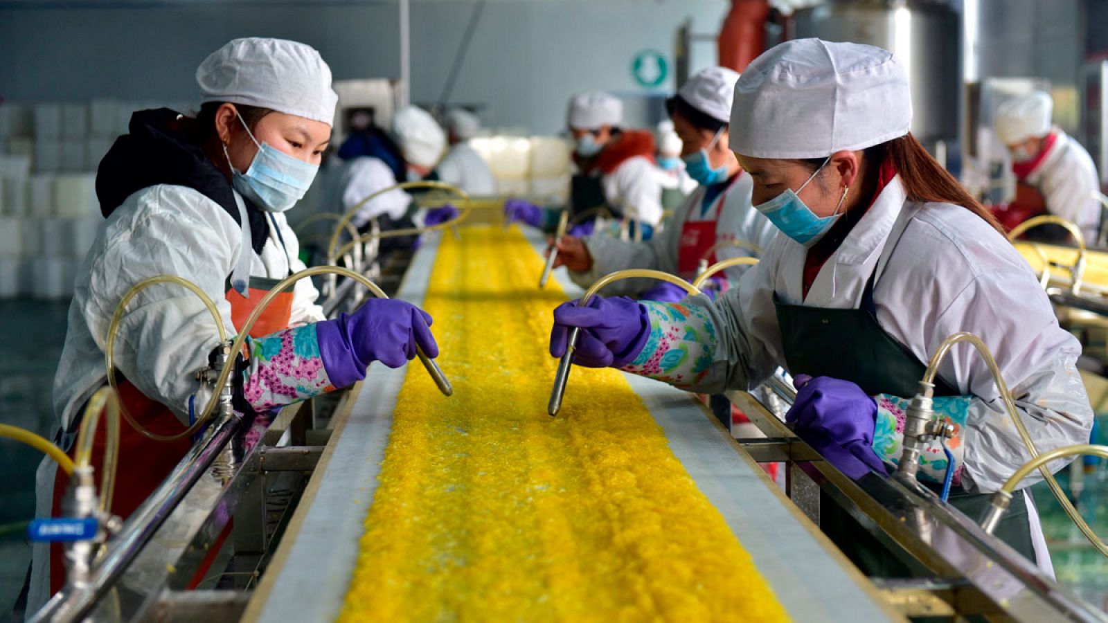 Trabajadoras chinas en una fabrica de comida procesada en Yichang, en la provincia de Hubei.