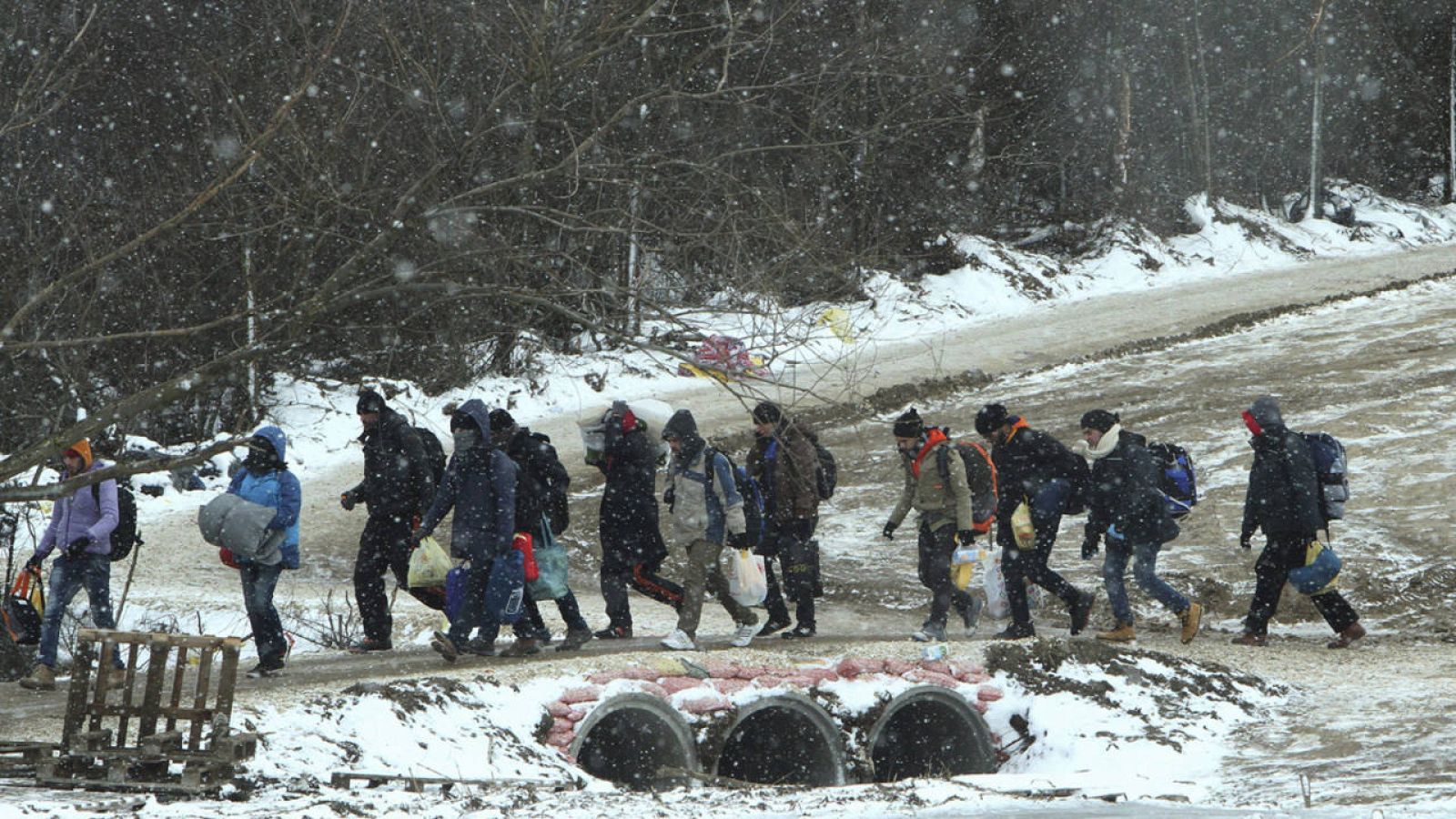Refugiados de Siria, Irak y Afganistán caminan hacia un campamento temporal para inmigrantes en el pueblo de Miratovac, Serbia