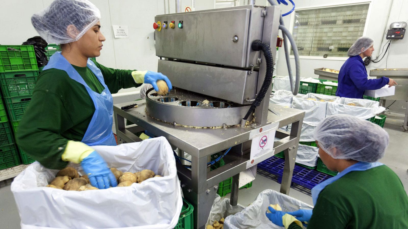 Dos jóvenes pelan membrillos en una fábrica de dulces