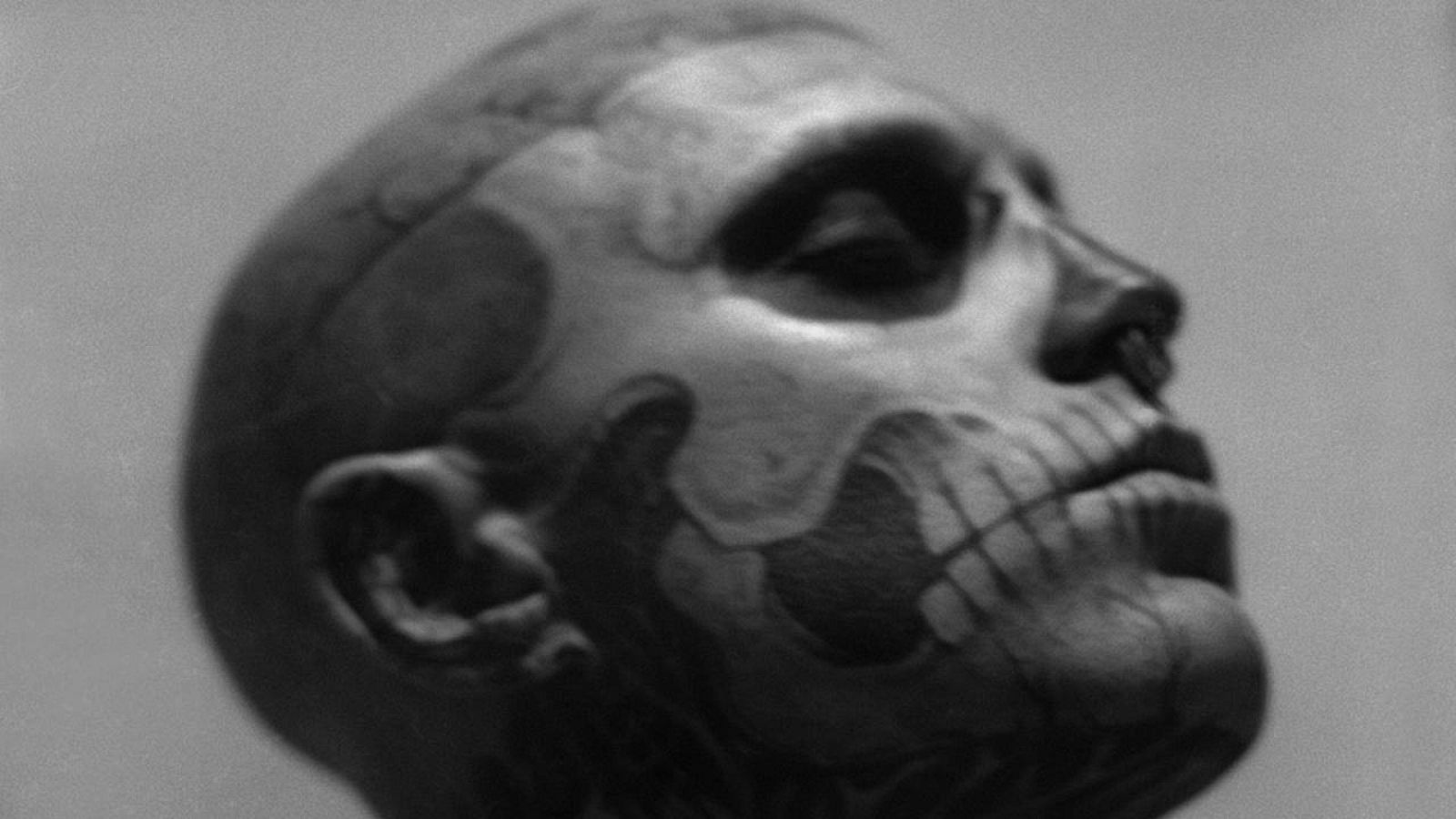 'Indeleble máscara' es una de las imágenes que se pueden observar en la muestra. 