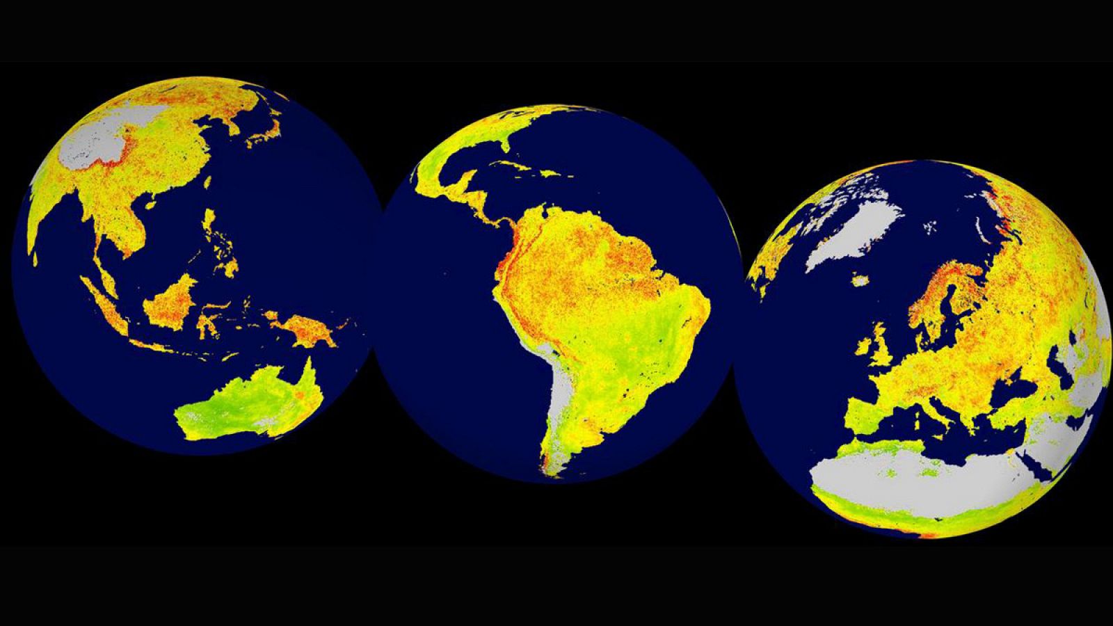 Mapa global del Índice de Sensibilidad de la Vegetación