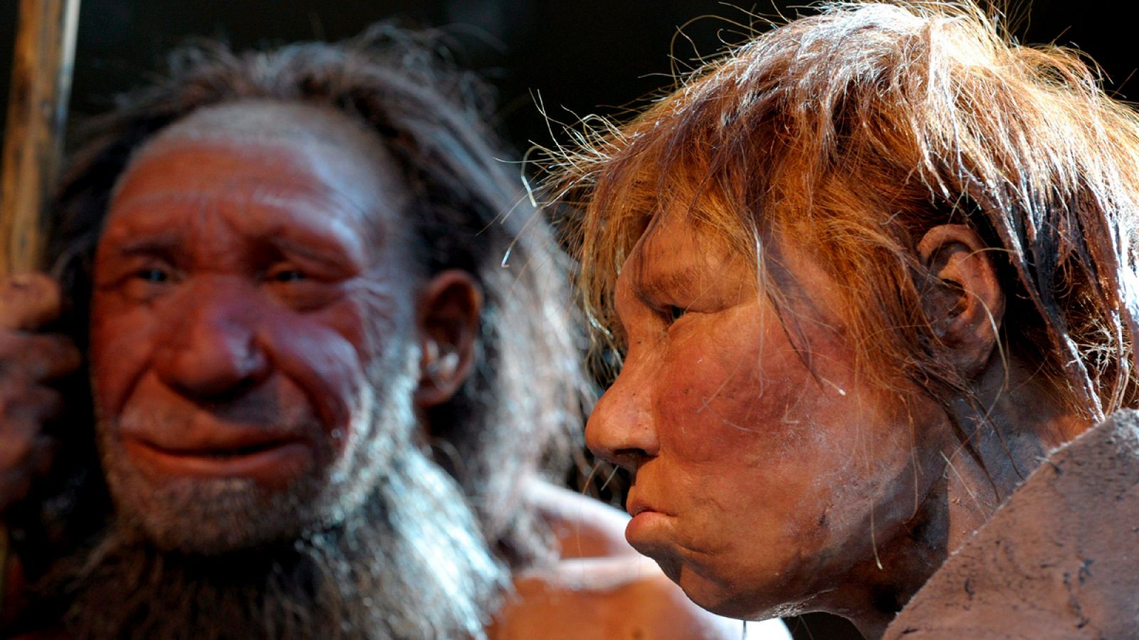 Los neandertales se extinguieron hace poco más de 30.000 años.