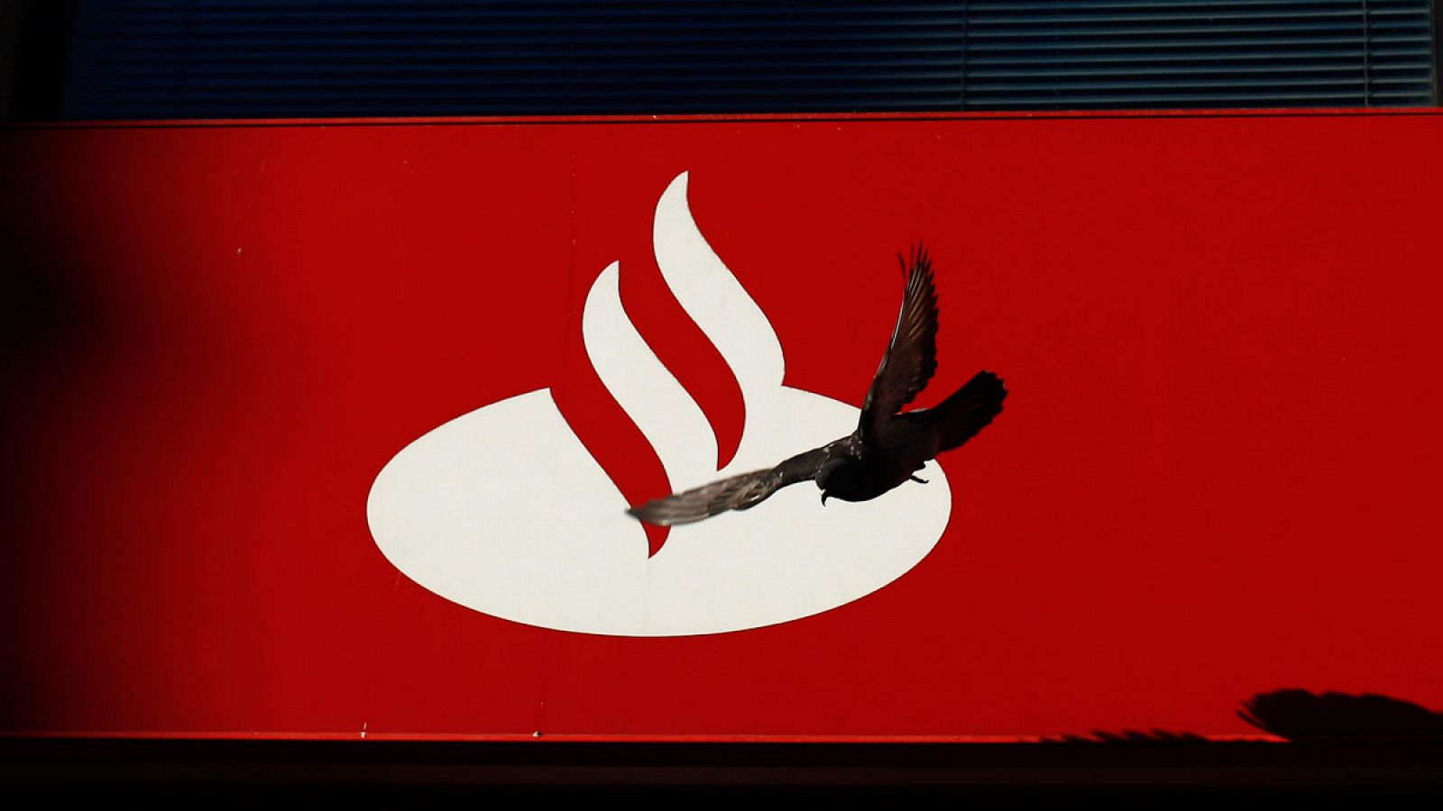 Una paloma sobrevuela el logo del Banco Santander en una oficina