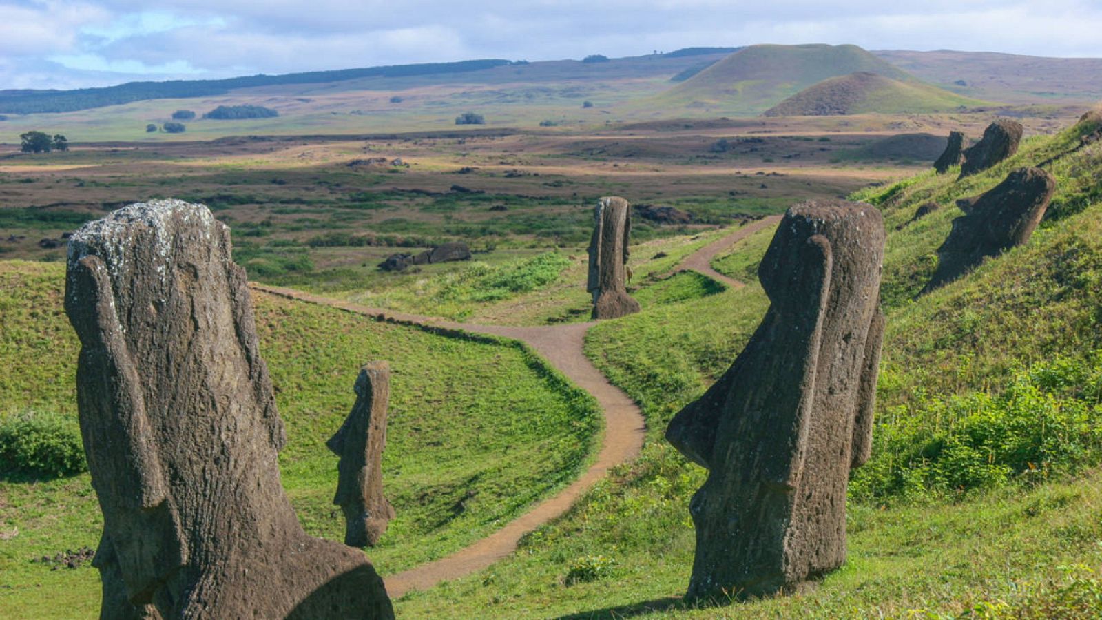 En la Isla de Pascua desaparecieron súbitamente los bosques de palmeras siglos antes de la llegada de los europeos.