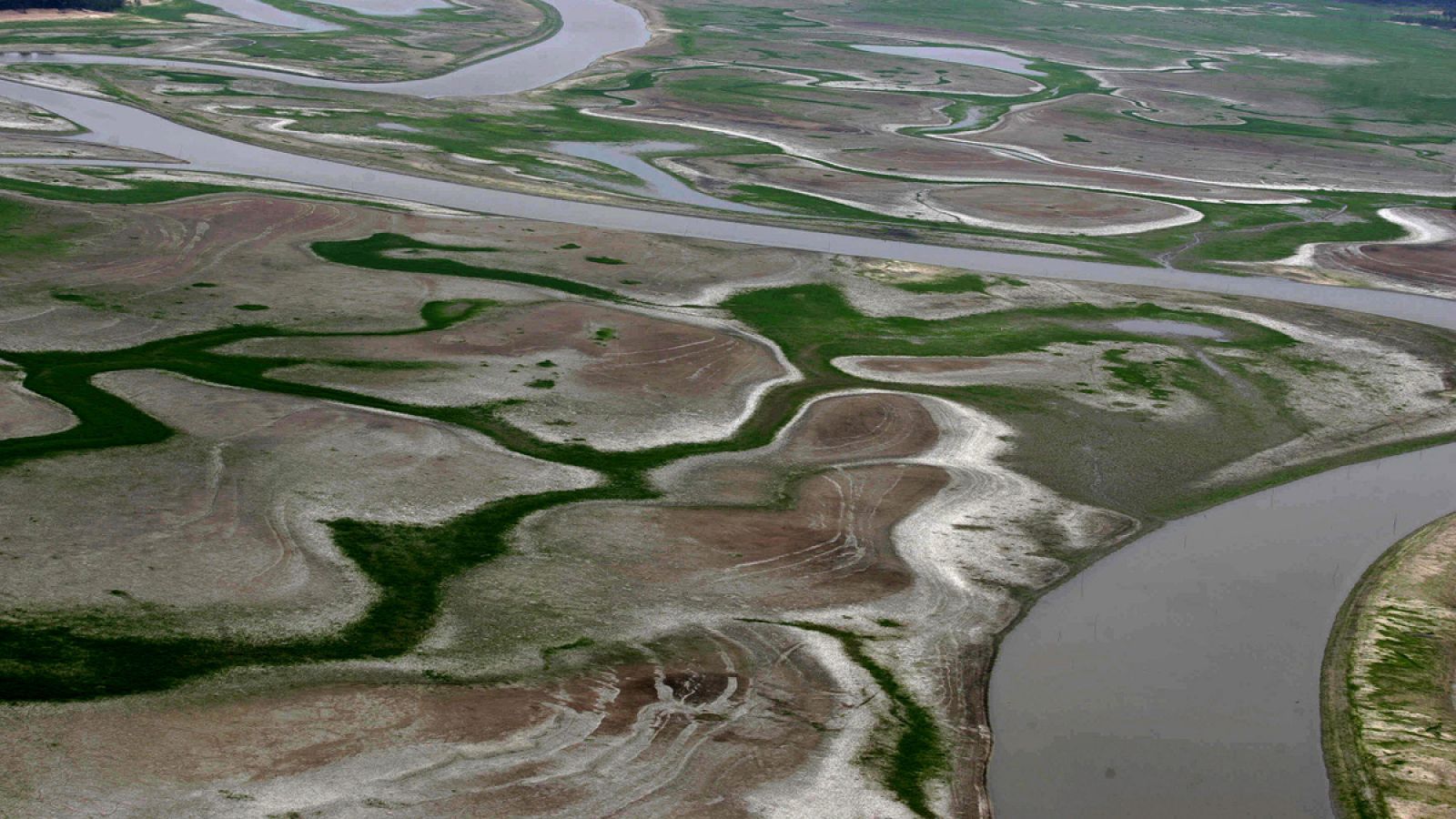 El arrecife ha sido hallado en el delta amazónico.