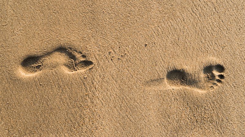 El Homo sapiens es africano y salió de ese continente hace unos 45.000 años.