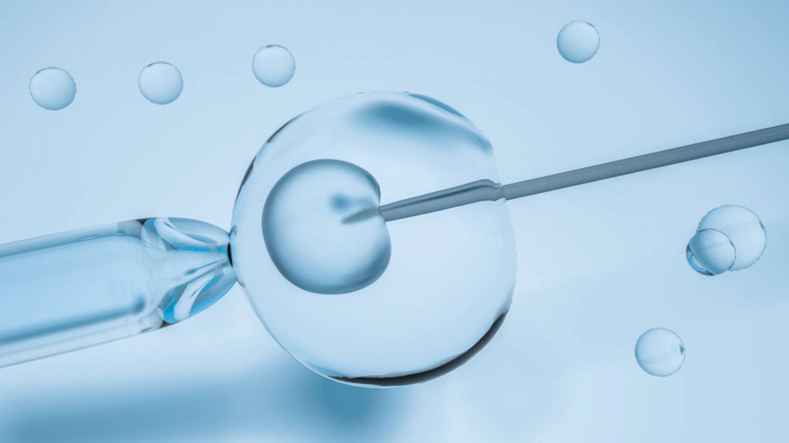 Fecundación 'in vitro' recreada digitalmente