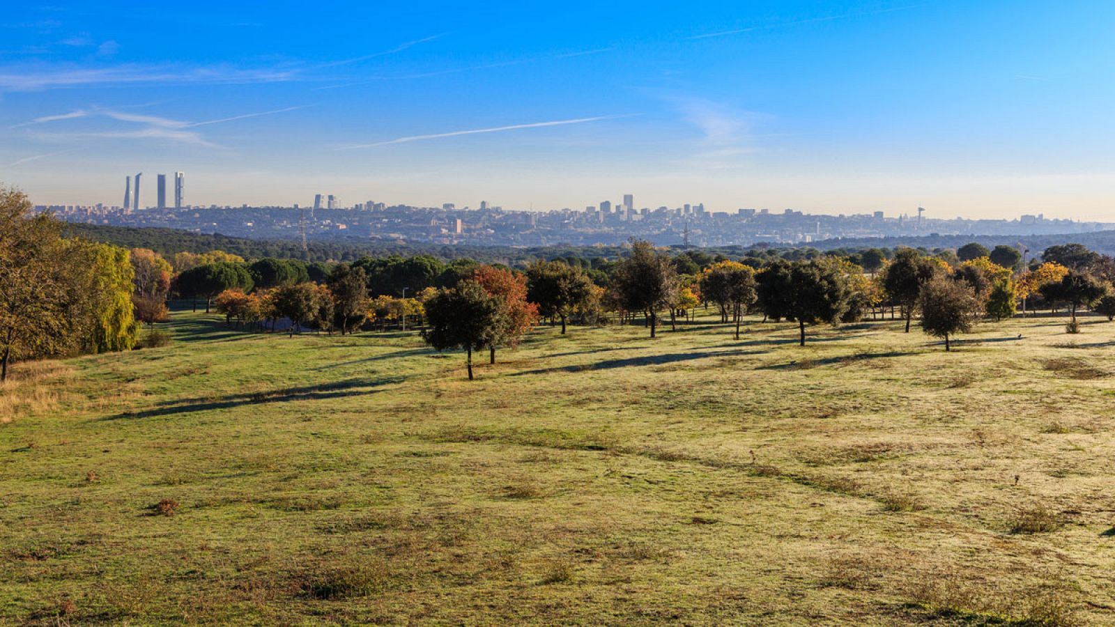 Vista panorámica de la ciudad de Madrid desde el campo