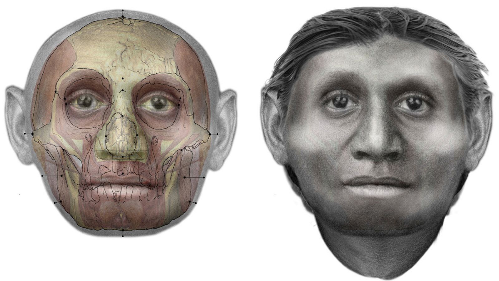 Una ilustración de la cabeza del 'Homo floresiensis'