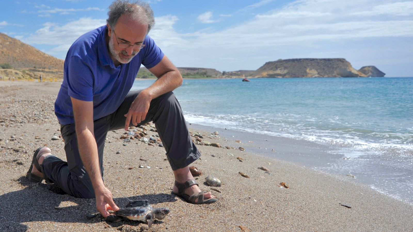 Las tortugas se han soltado en la Playa de las Palmeras, en Almería.