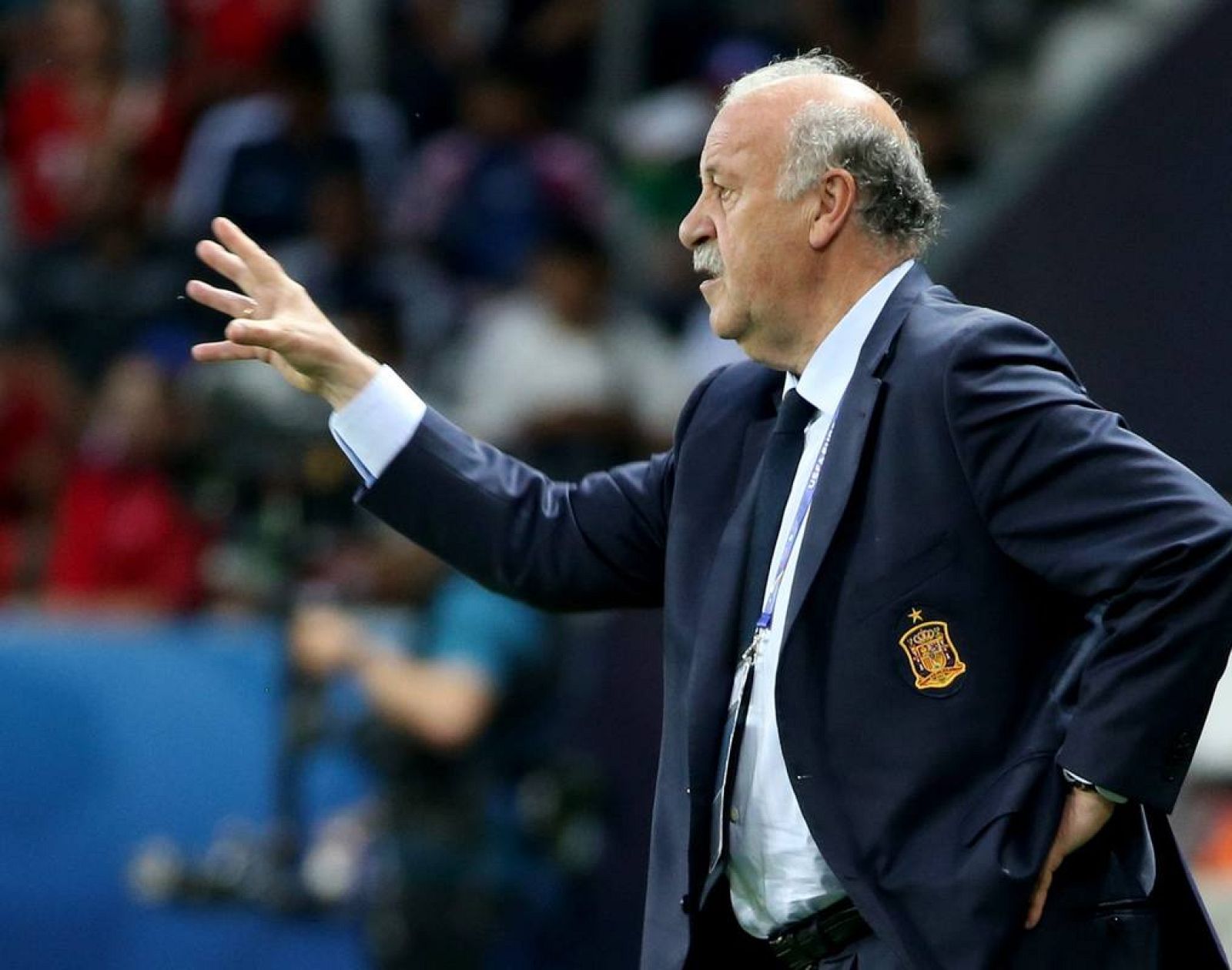 El seleccionador español Vicente del Bosque dando instrucciones durante el partido ante Turquía.