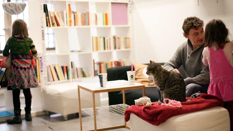 La Gatoteca se inspira en los "cafés de gatos" que nacieron en Asia.