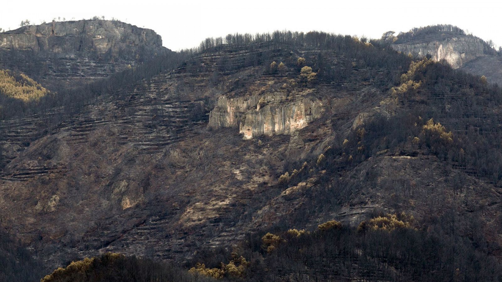 Zona arrasada en Les Penyes Altes por el incendio forestal de Artana, en Castellón.