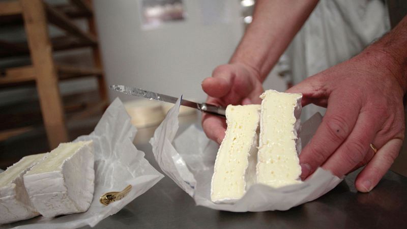 Corte de un queso francés camemberg